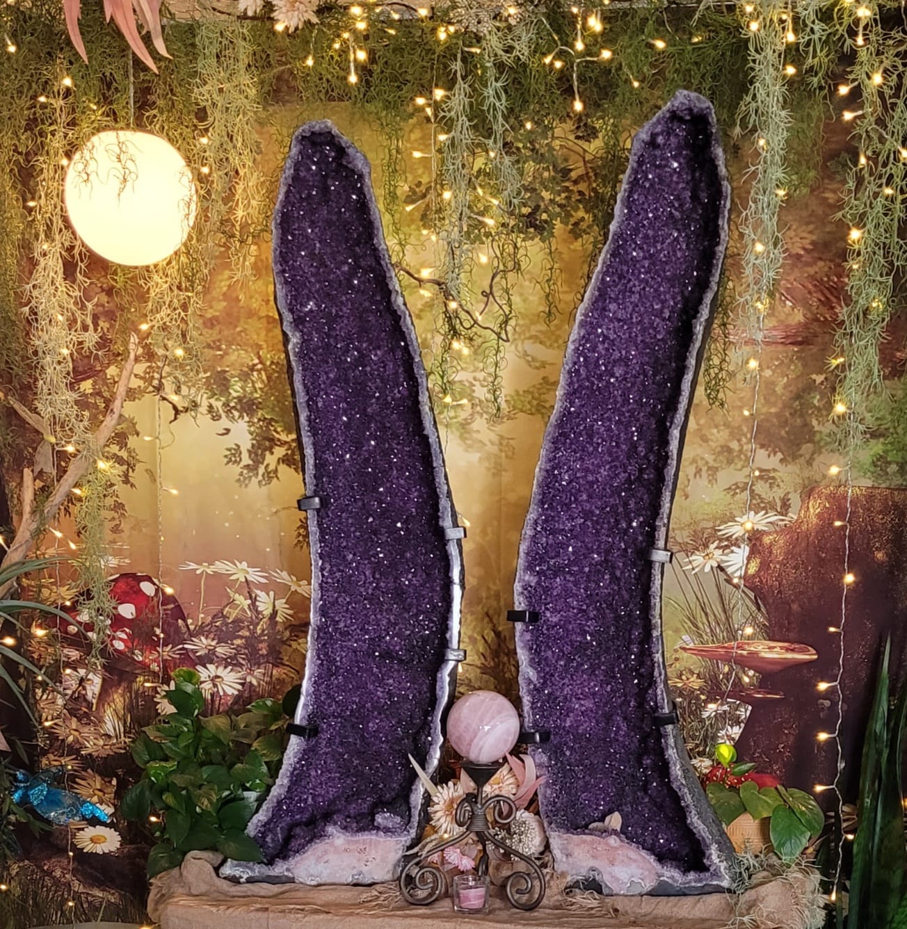 Amethyst Geode Pair (Local Pickup Only) - Exotic-Expressions.net