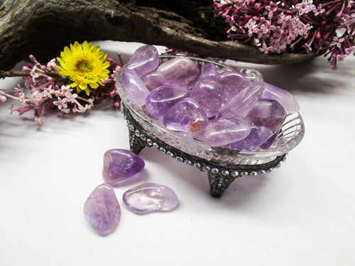 Amethyst Tumbled - Exotic-Expressions.net