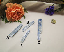 Load image into Gallery viewer, Kyanite - Exotic-Expressions.net