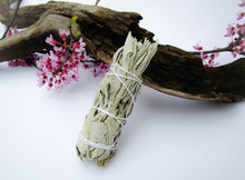 Load image into Gallery viewer, California White Sage Smudge Stick 4&quot; - Exotic-Expressions.net
