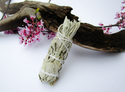 California White Sage Smudge Stick - Exotic-Expressions.net