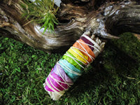 California White Sage Smudge Stick 4" - Exotic-Expressions.net