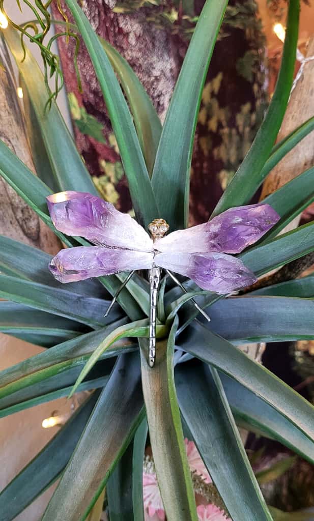 Amethyst Dragonfly© - Exotic-Expressions.net