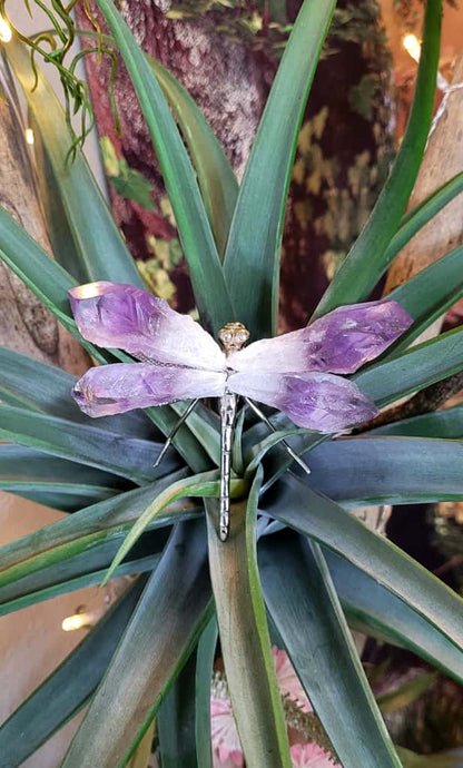 Amethyst Dragonfly© - Exotic-Expressions.net
