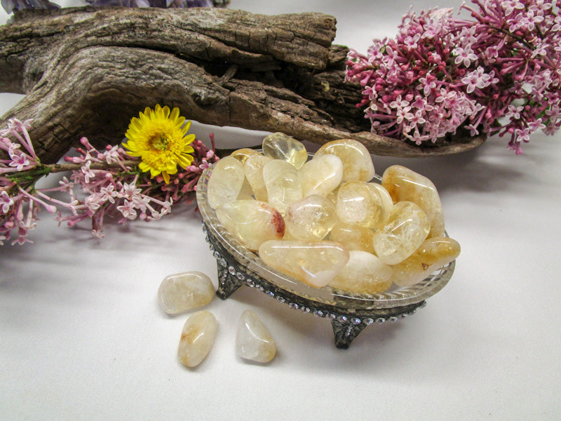 Citrine - Exotic-Expressions.net