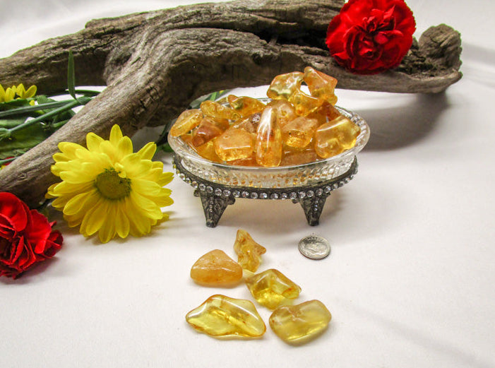 Amber Nuggets - Exotic-Expressions.net