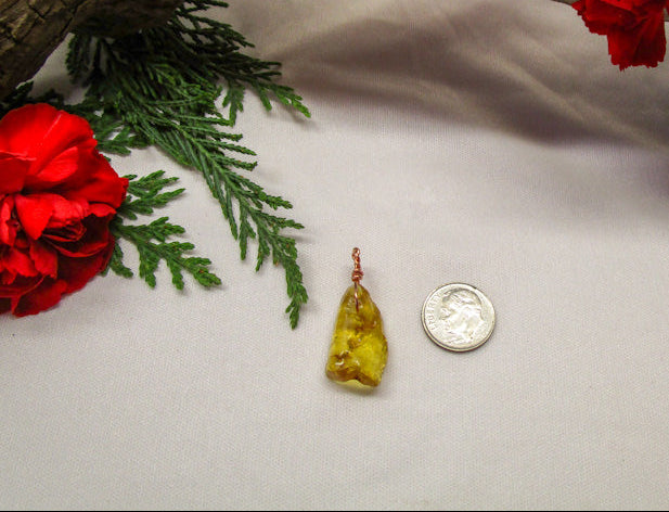 Amber Nuggets - Exotic-Expressions.net