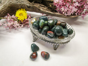Bloodstone - Exotic-Expressions.net