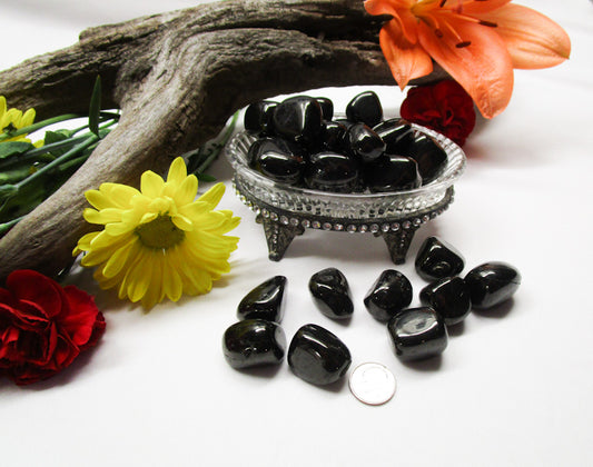 Jet - Exotic-Expressions.net