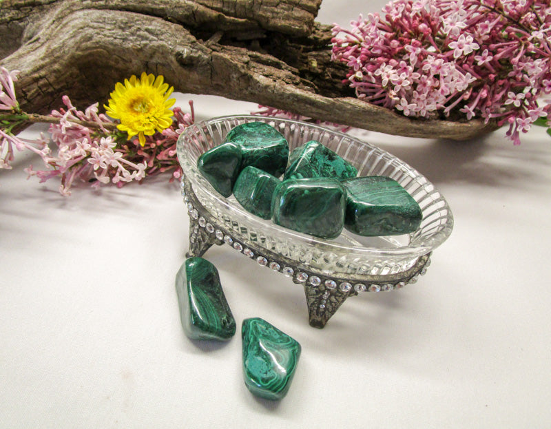 Malachite - Exotic-Expressions.net