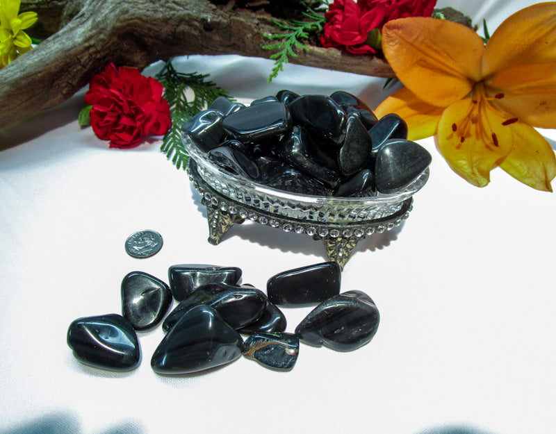 Obsidian - Exotic-Expressions.net