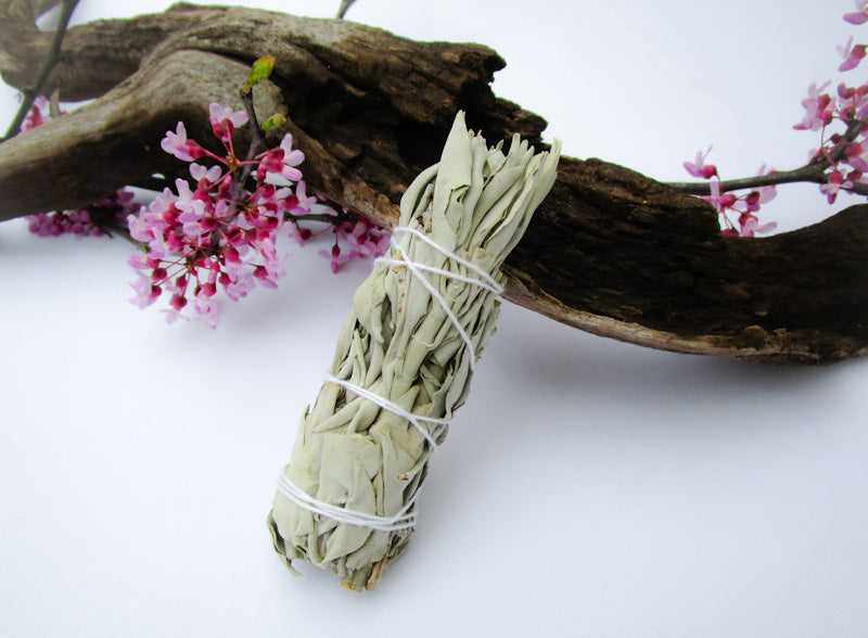 California White Sage Smudge Stick 4" - Exotic-Expressions.net